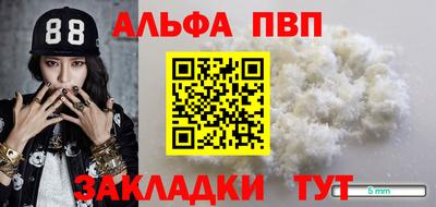 Альфа ПВП Моздок
