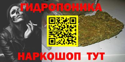 МДМА Можга