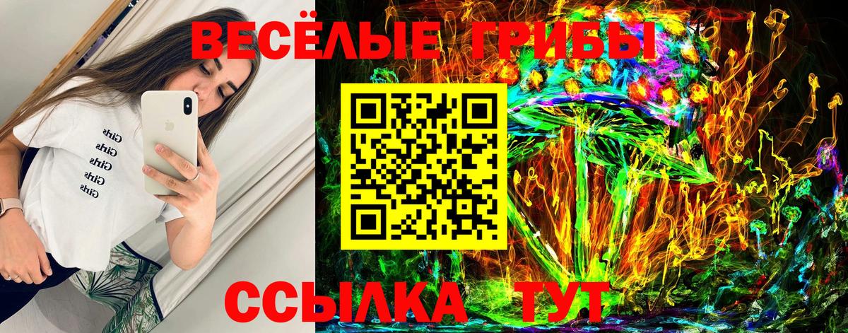 Псилоцибиновые грибы Psilocybe  Вход с VPN  Дивногорск 