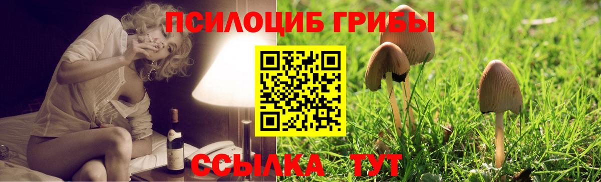 Галлюциногенные грибы Cubensis Дивногорск